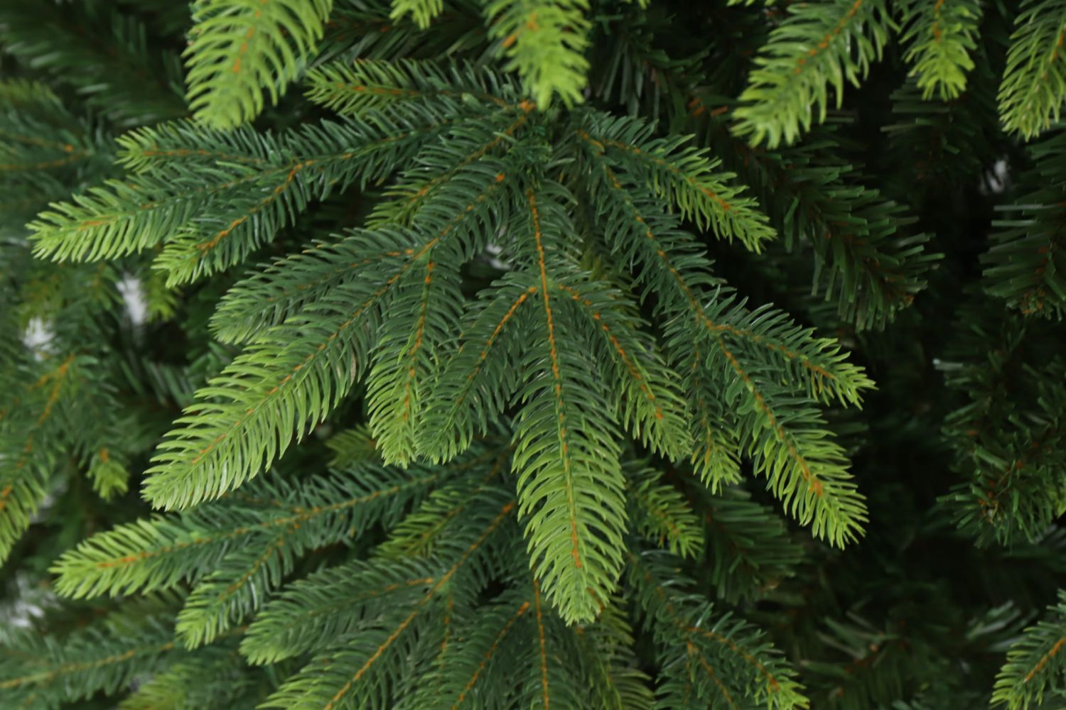Umjetno drvce Smreka Tajga ROYAL 250 cm