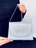 Borsa formale lucida argento
