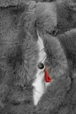 Giacca doppia faccia imbottita bianca/grigia
