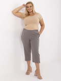 Pantaloni eleganti da donna in grigio scuro