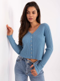 Pullover blu elegante con scollo a V